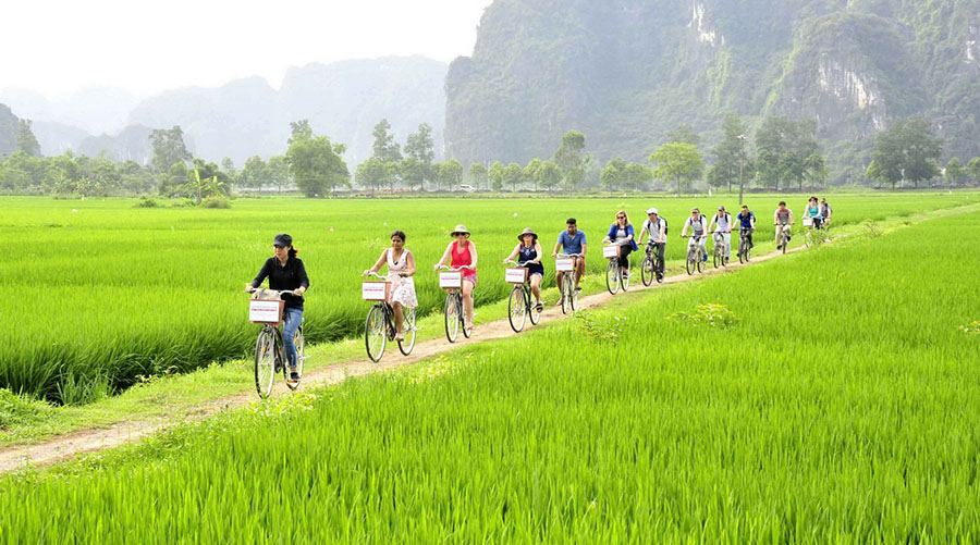 Cycling in Ninh Binh countryside