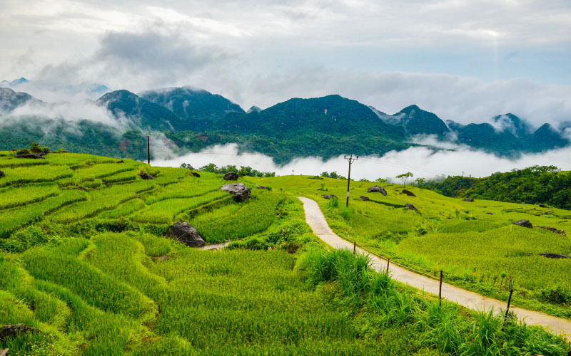Rice fields in Vietnam, Pu Luong