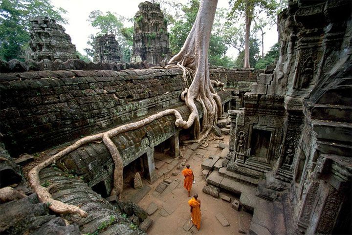 Ta Prohm temple in Angkor Wat 