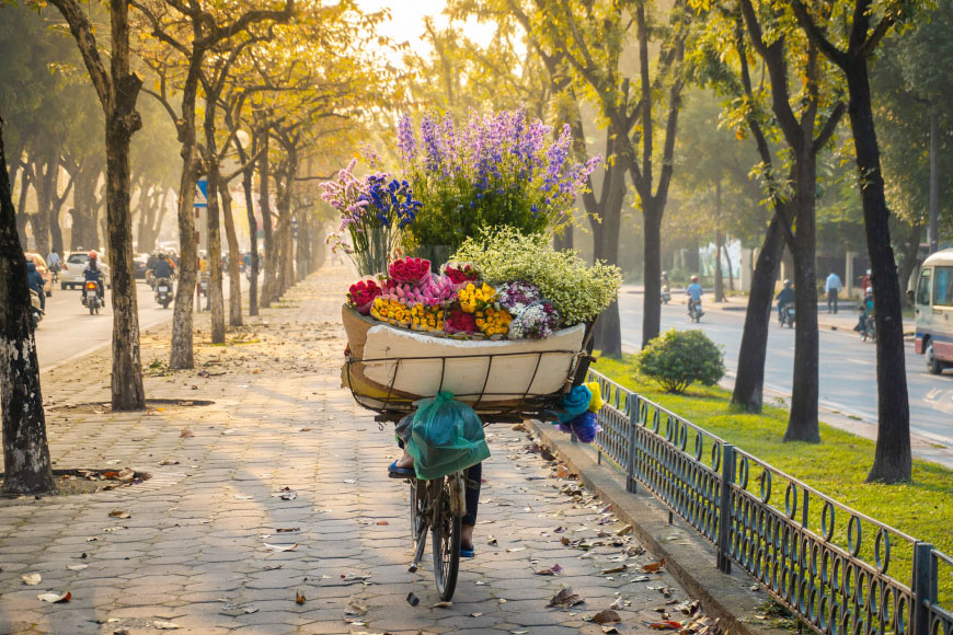 Experience the Poetry of Autumn in Hanoi