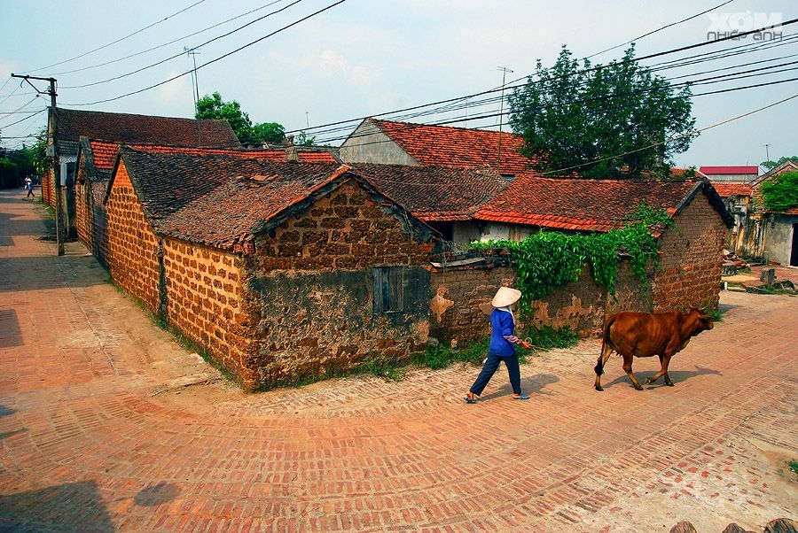 A journey to Duong Lam village is a trip to trace back the origin of Vietnam's culture and traditions. 