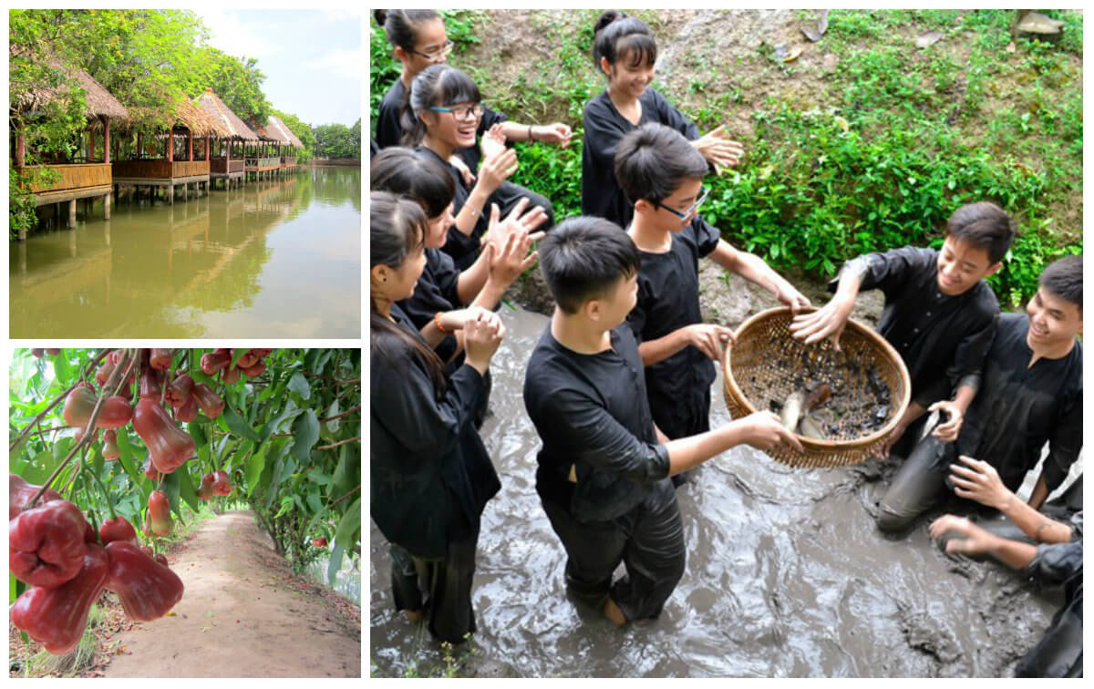 Interesting activities at homestay Mekong Delta