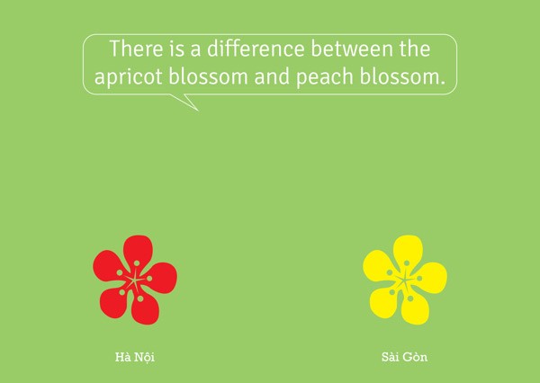 Peach flowers characterise the spring land in the North, yellow apricot is the vitality of spring in the South.