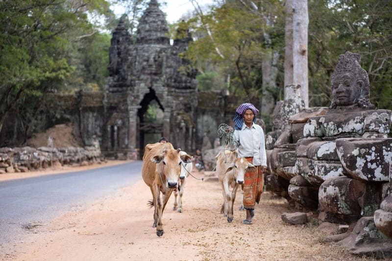 A peaceful corner in Siem Reap