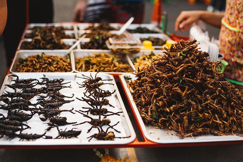 Taste fried insects on a food tour in Phnom Penh