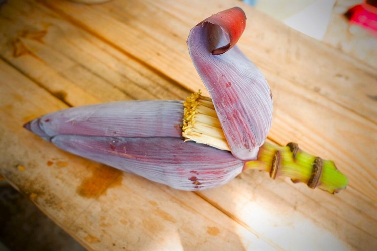 The somewhat funny looking banana flower