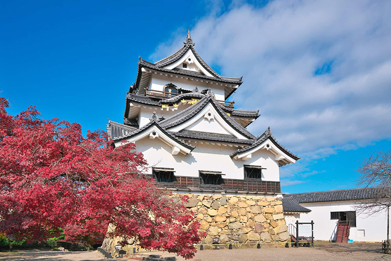 hikone castle japan