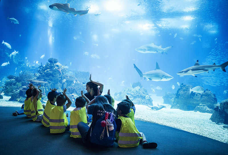 Top 10 biggest and best aquariums in Europe