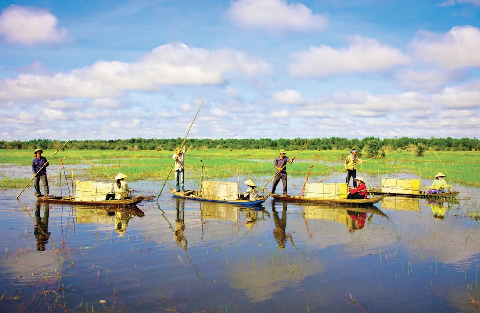 The natural charm of the Mekong Delta in float season.
